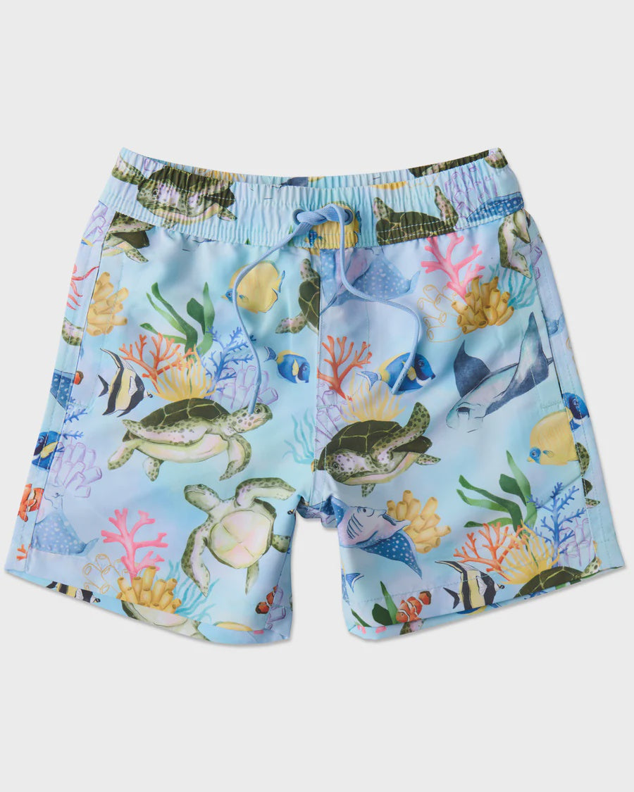 Reef Life Boardies