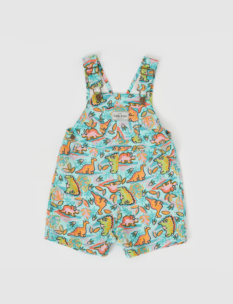 
                  
                    Burton Dino Jungle Overalls
                  
                