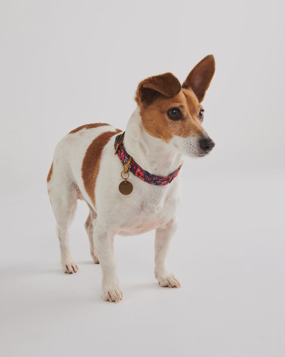 Forever Floral Collar- Small