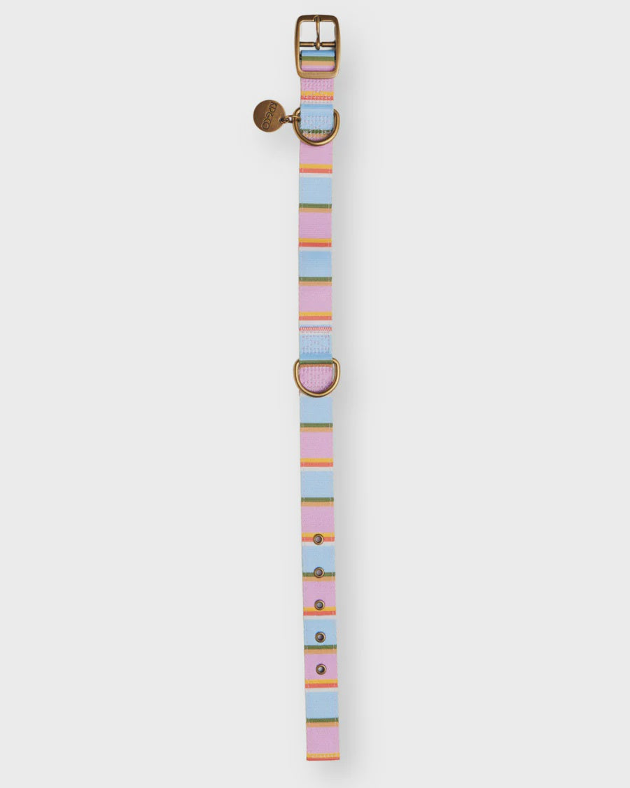 Fez Stripe Dog Collar Large