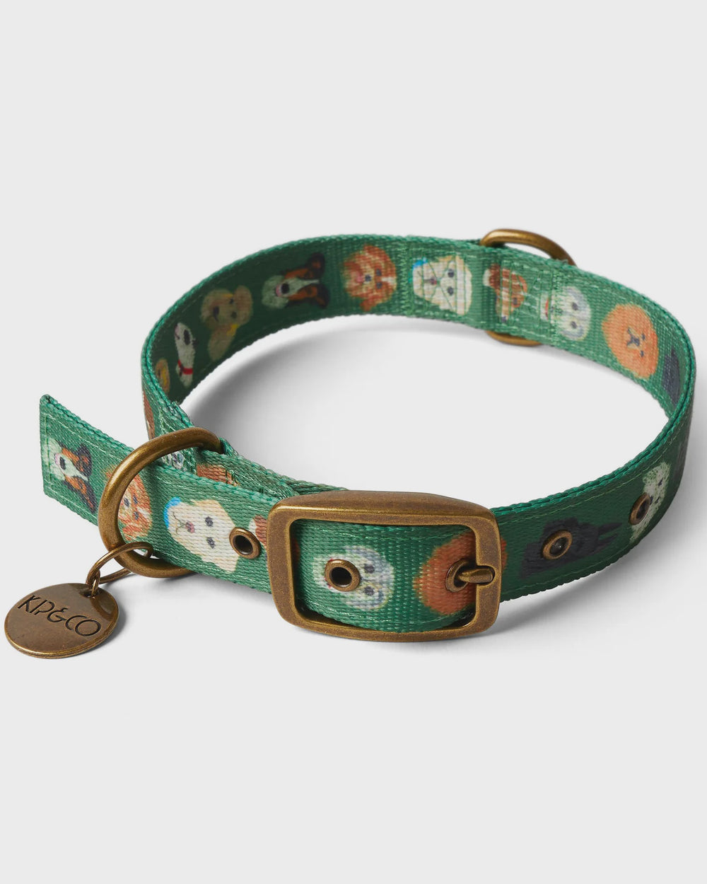 Dog Park Collar- X Large