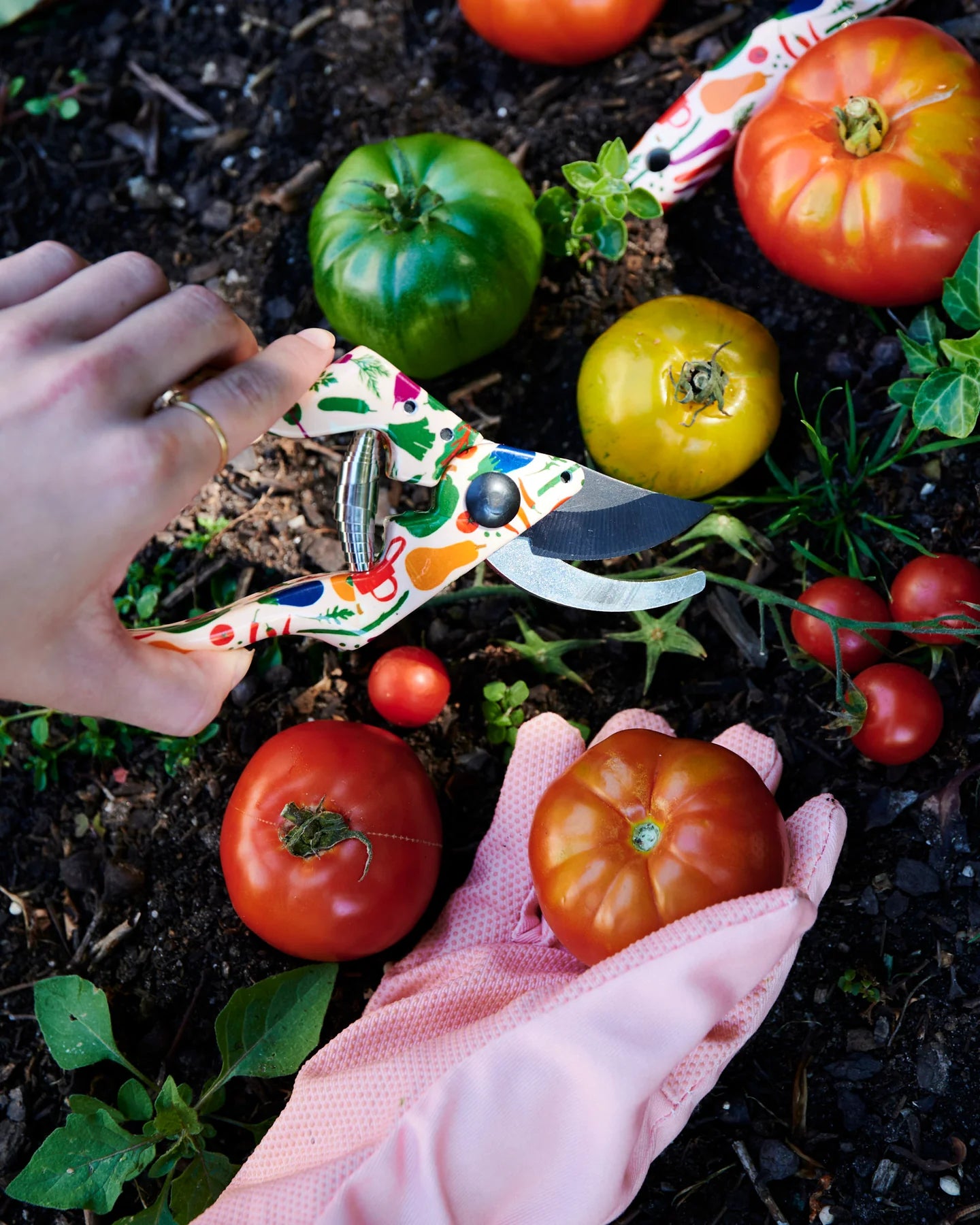
                  
                    Kip&Co x Stephanie Alexander Stephanie's Harvest Garden 3 Tools and Gloves Set One Size
                  
                