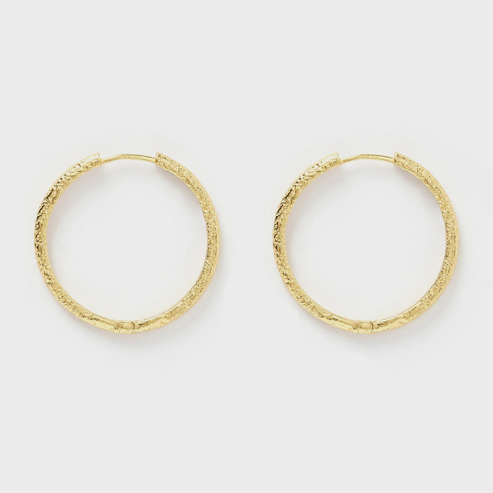 Sebastian Gold Hoop Earrings