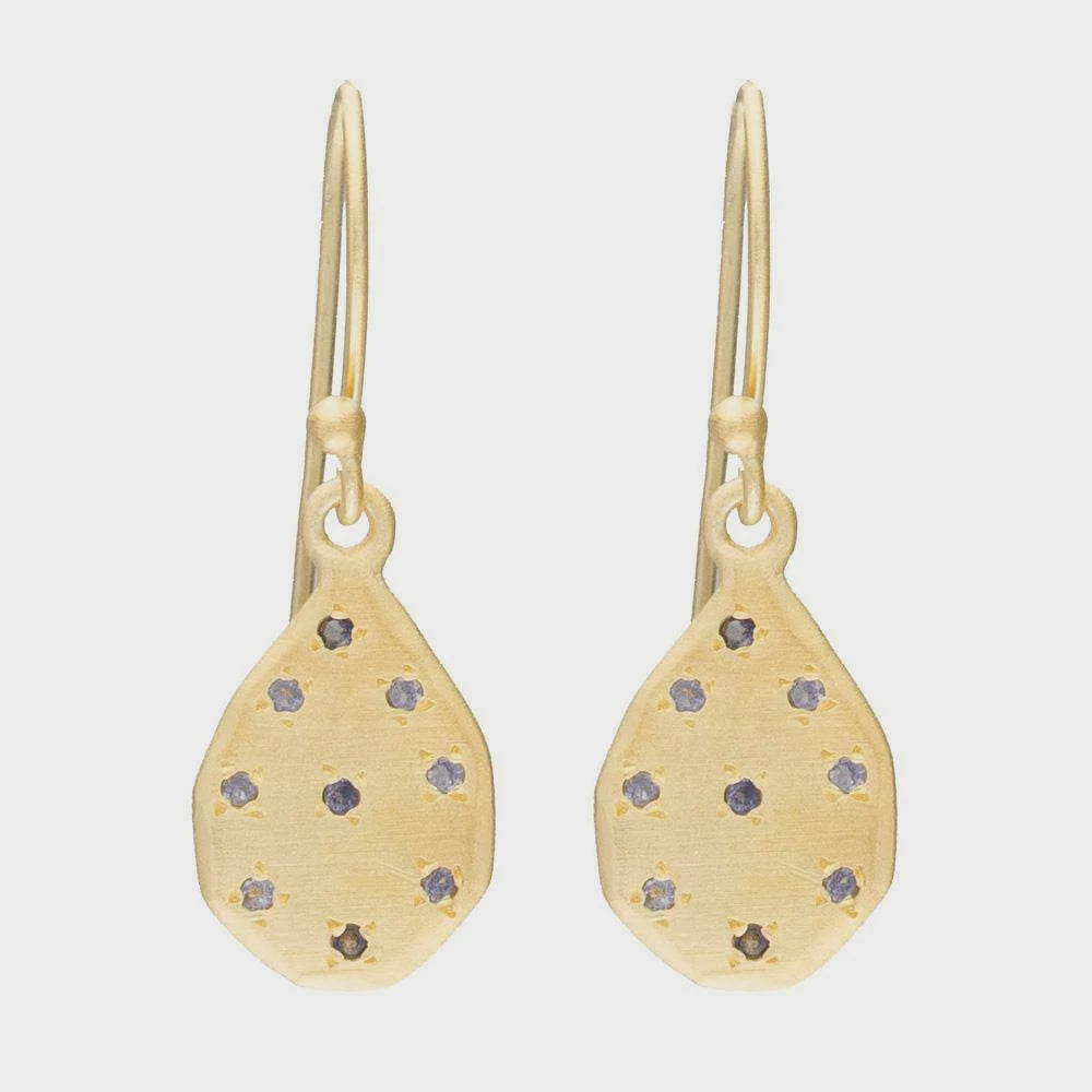 Tear drop Iolite earrings