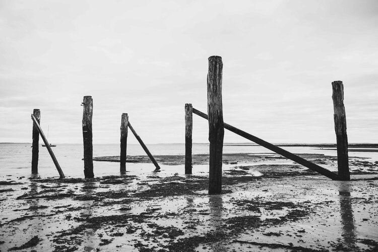 
                  
                    'Flinders Pillars'
                  
                