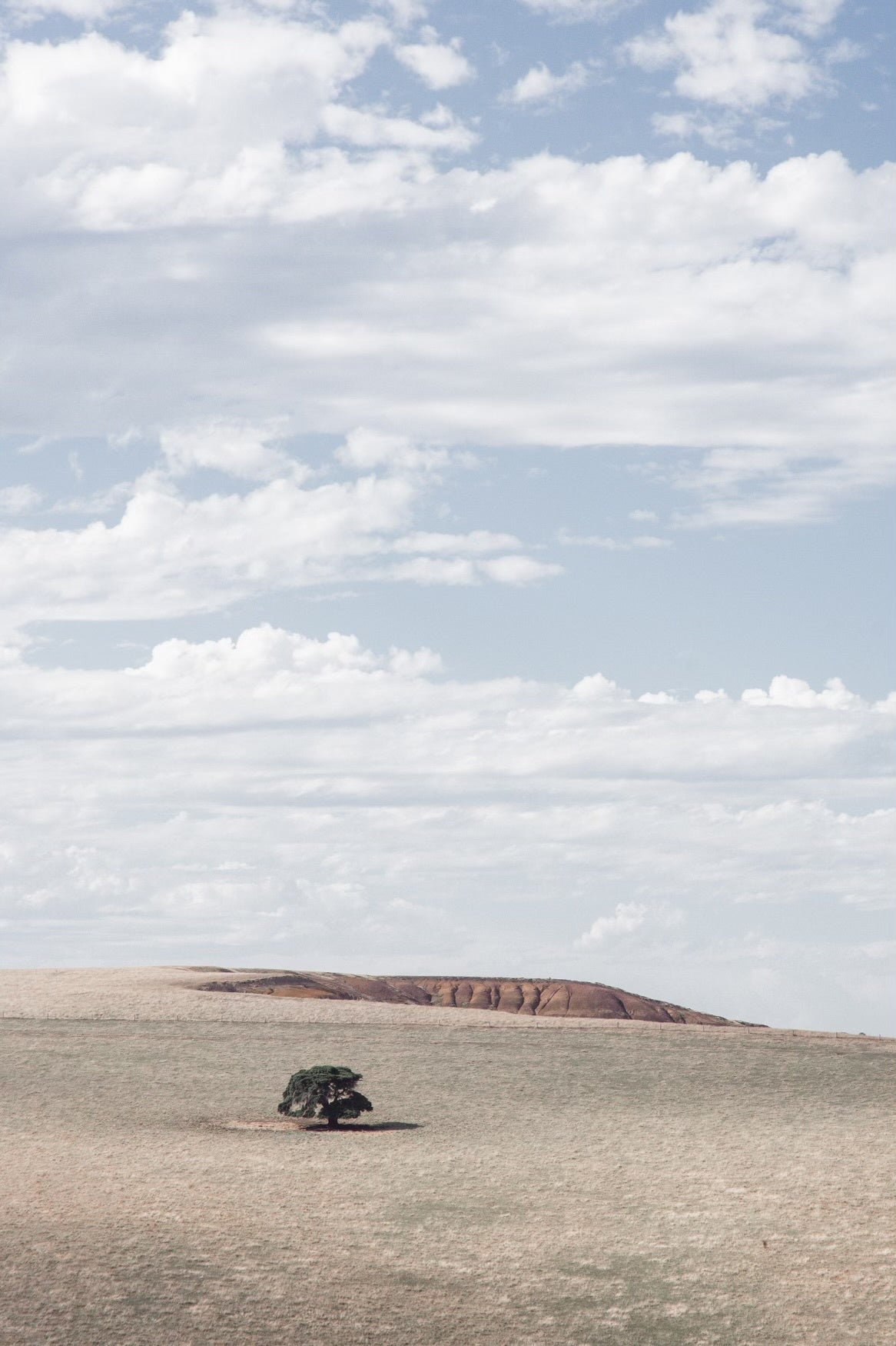 
                  
                    Fiona Kelly Photography 'Bushrangers Bay I' 625mm x 870mm
                  
                