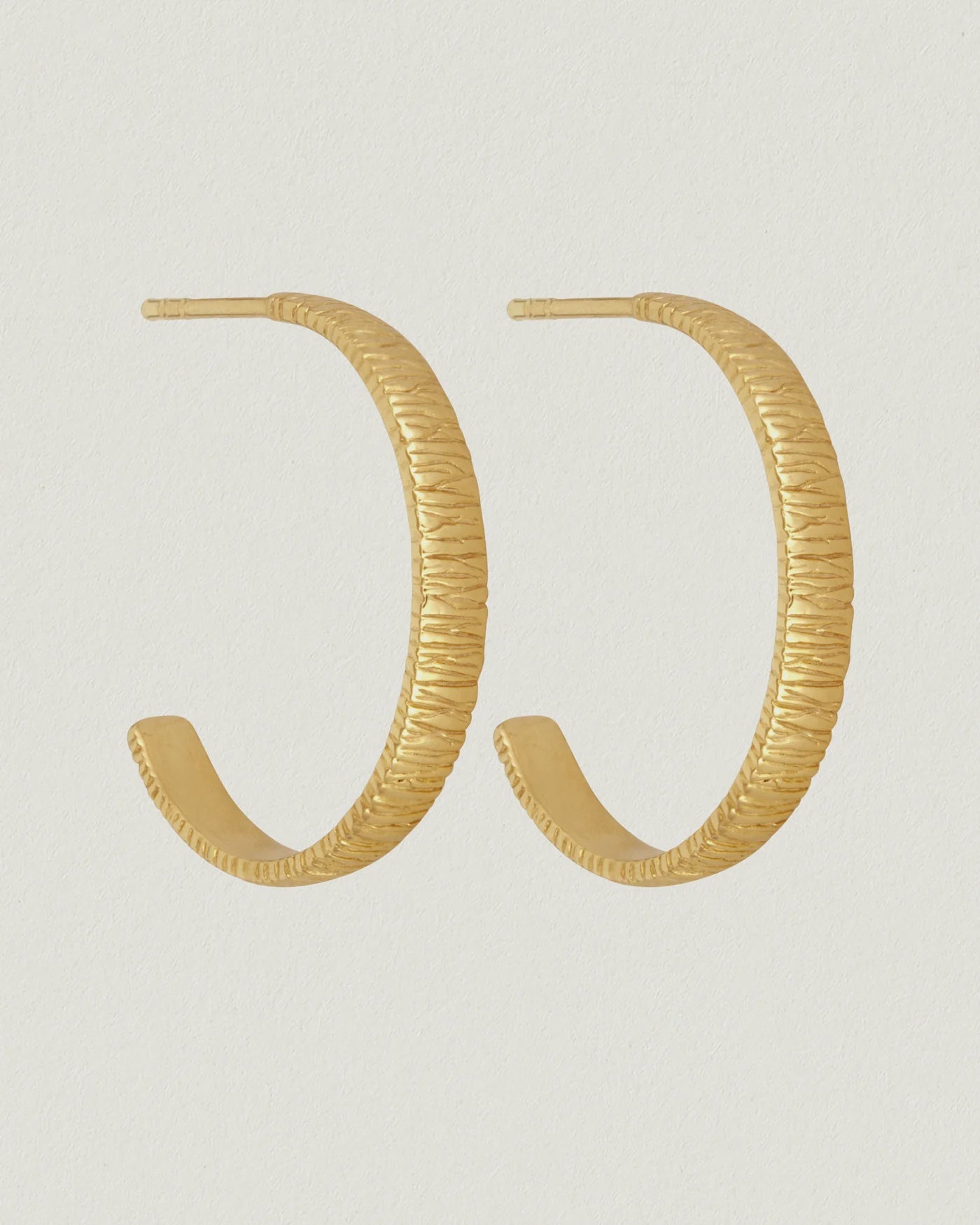 
                  
                    Agave Hoop Earrings 18k Gold Vermeil
                  
                