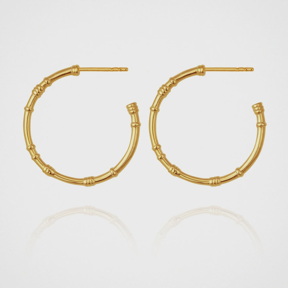 Orbit Earrings Gold Small